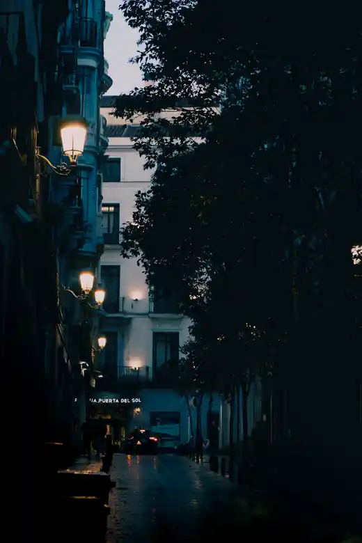 Fotografía 4 del proyecto Noche