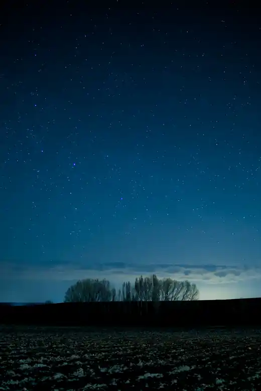 Fotografía 6 del proyecto Noche