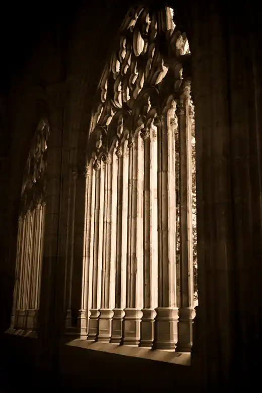 Fotografía 4 del proyecto Vaciada