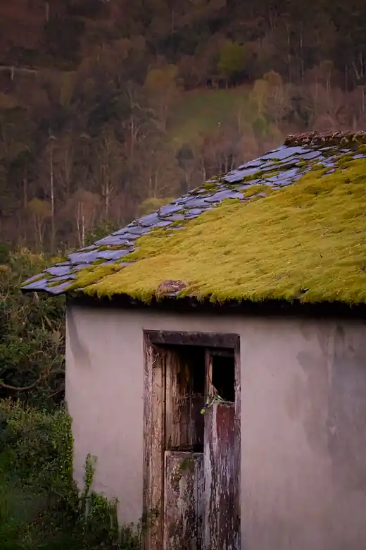 Fotografía 8 del proyecto Vaciada