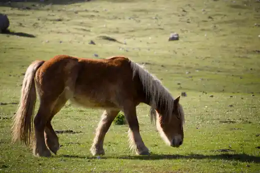 Fotografía 3 del proyecto Vivos