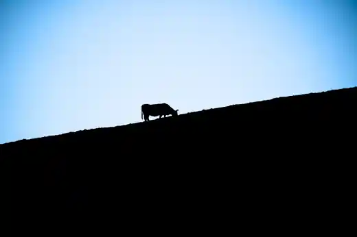 Fotografía 5 del proyecto Vivos