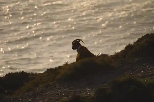 Fotografía 6 del proyecto Vivos